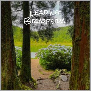 Album Leading Bryopsida from Various