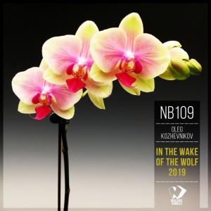 收听Oleg Kozhevnikov的Color of the Night歌词歌曲