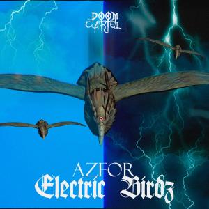 Listen to Electric Birdz song with lyrics from Azfor