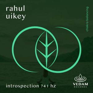 收聽Rahul Uikey的Introspection 741 Hz歌詞歌曲
