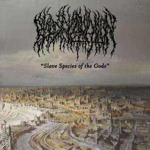 ดาวน์โหลดและฟังเพลง Slave Species of the Gods พร้อมเนื้อเพลงจาก Blood Incantation