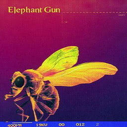 收聽Elephant Gun的Wrapped In Plastic歌詞歌曲
