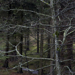 อัลบัม Favourite Son ศิลปิน Drenge