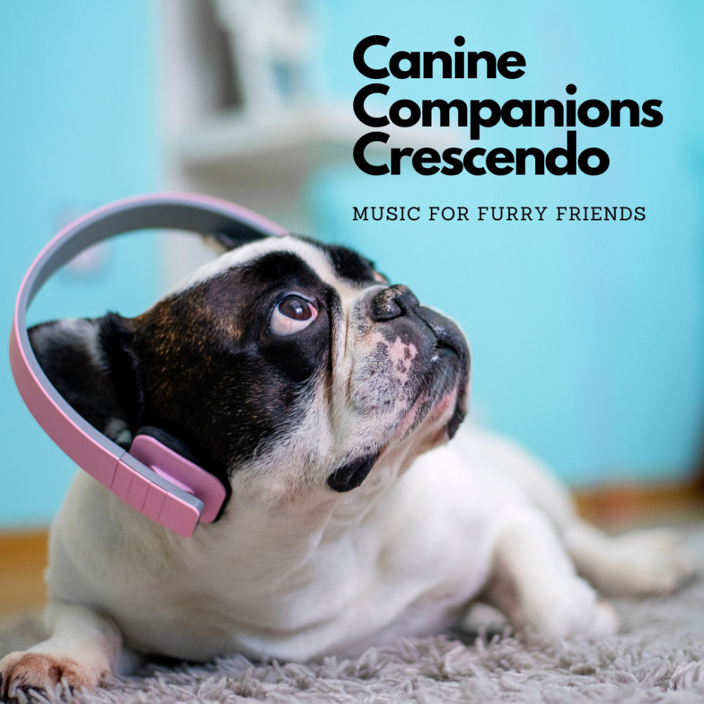A Cappella Doggy Reverie
