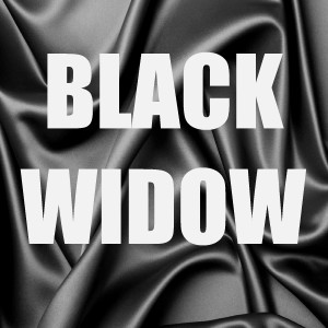收听Out Trax的Black Widow (In The Style of Iggy Azalea) (Remix) (Instrumental Version) (完整版|In The Style of Iggy Azalea|Remix|Instrumental Version)歌词歌曲