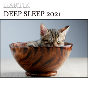 Listen to Deep Sleep 2021 song with lyrics from Hartik