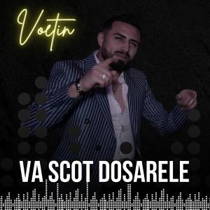 Album Va scot dosarele from 