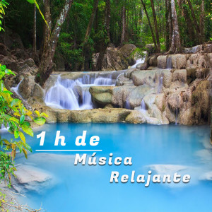 Listen to Sensual Sounds of Nature song with lyrics from Orquesta Club Miranda