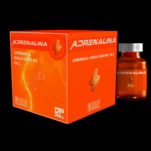 ดาวน์โหลดและฟังเพลง Adrenalina พร้อมเนื้อเพลงจาก OG L