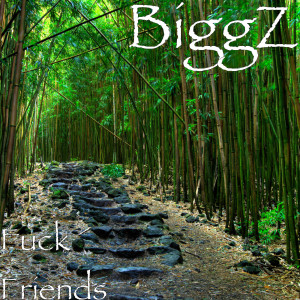 Listen to Fuck Friends (Explicit) song with lyrics from Biggz