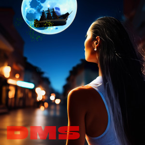 DMS的专辑Rap Nights