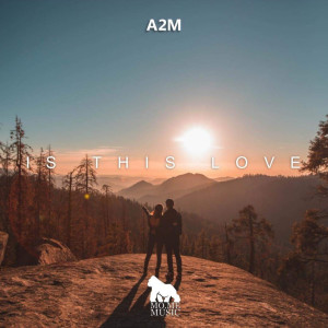 A2M的專輯Is This Love (Extended Mix)