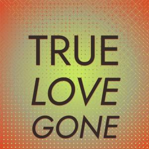 Listen to 'Cos It's Over song with lyrics from The Summer Set
