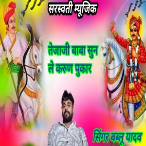 Bablu Yadav的專輯तेजाजी बाबा सुन ले करुण पुकार