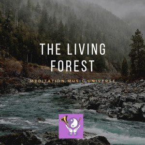 Meditation Music Universe的专辑The Living Forest