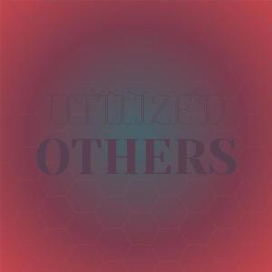 Various的专辑Utilized Others