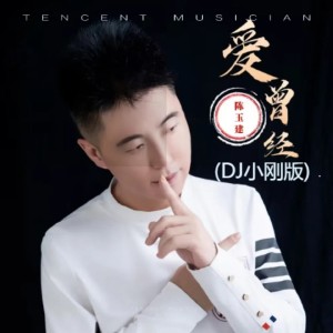 陈玉建的专辑爱曾经(DJ小刚版)