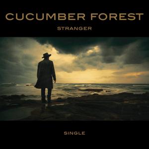 收聽Cucumber Forest的Stranger (feat. Dee)歌詞歌曲