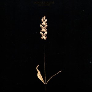 收聽Sonne Hagal的Song of Experience歌詞歌曲