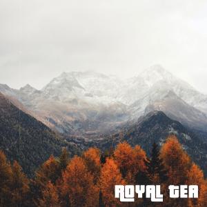 Listen to Uitval song with lyrics from Royal Tea