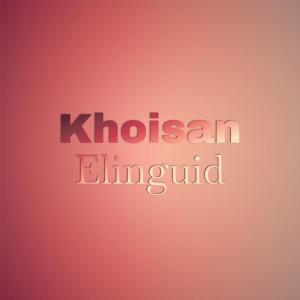 Various的专辑Khoisan Elinguid