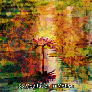 55 Meditation In Motion