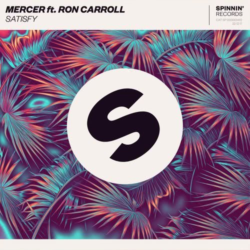 Satisfy (feat. Ron Carroll)