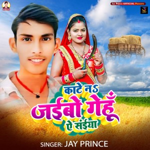 Jay Prince的專輯Kate Na Jaibo Genhu Ae Saiya