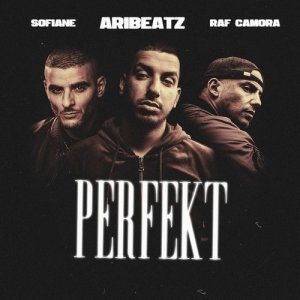 ดาวน์โหลดและฟังเพลง Perfekt (Explicit) พร้อมเนื้อเพลงจาก RAF Camora