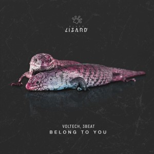 Dengarkan lagu Belong To You nyanyian Voltech dengan lirik
