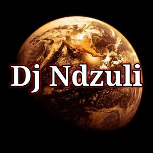 Album Ndzuli remix from 