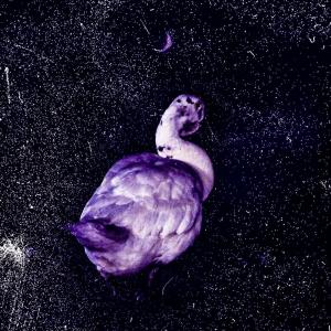 收聽JIMBO-CD的AMETHYST_2021 (Explicit)歌詞歌曲