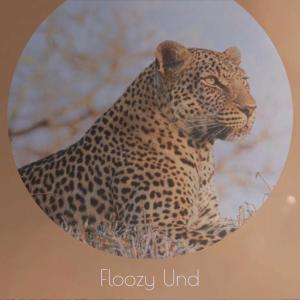 Various Artists的專輯Floozy Und