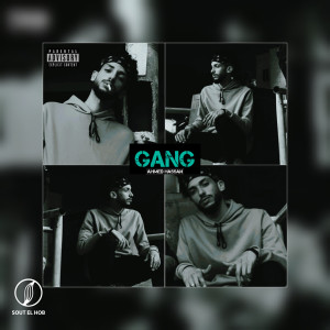 ดาวน์โหลดและฟังเพลง Gang (Explicit) พร้อมเนื้อเพลงจาก Ahmed Hassan