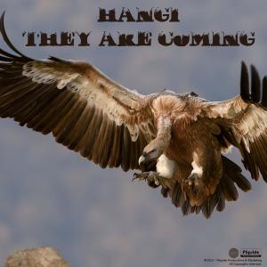 ดาวน์โหลดและฟังเพลง They Are Coming พร้อมเนื้อเพลงจาก Hangi