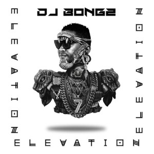 DJ Bongz的專輯Elevation