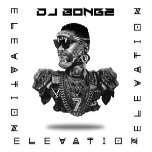 Listen to Mosquito song with lyrics from DJ Bongz