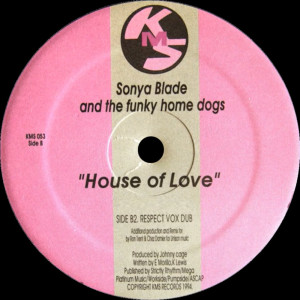 Listen to House Of Love (Respect Vox Dub) (Chez N Trent Respect Vox Dub) song with lyrics from Sonya Blade