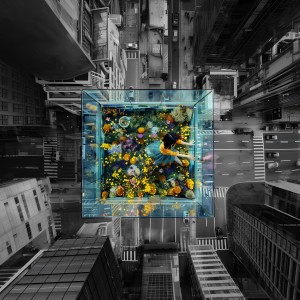 Album urbanbloom from 