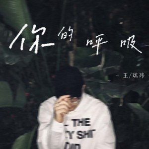 收聽王琪瑋的你的呼吸歌詞歌曲