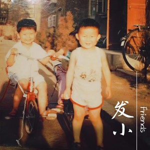 Album 发小 from 王雷 