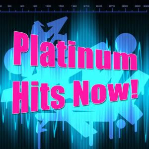 Platinum Hit Players的專輯Platinum Hits Now!
