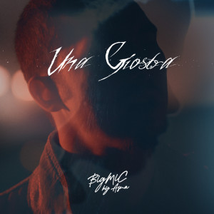 Listen to Una Giostra song with lyrics from BigMic