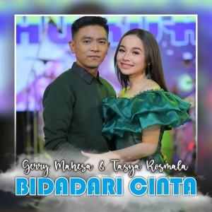 收听Gerry Mahesa的Bidadari Cinta歌词歌曲