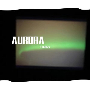 Listen to AURORA (完整版) song with lyrics from T3GOIZZ