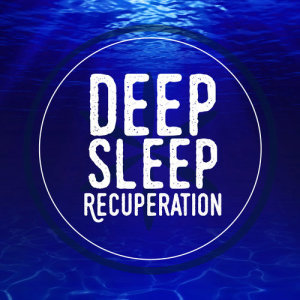收聽Deep Sleep Meditation and Relaxation的Colours of the Forest歌詞歌曲