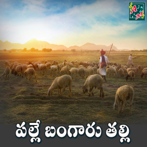 Listen to Palle Bangaru Thalli song with lyrics from Kannam Srinivas
