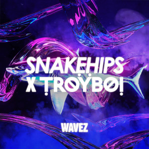 收聽Snakehips的Wavez歌詞歌曲