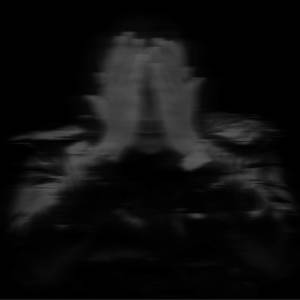 ดาวน์โหลดและฟังเพลง RAZANTE (Explicit) พร้อมเนื้อเพลงจาก Mano Gothia