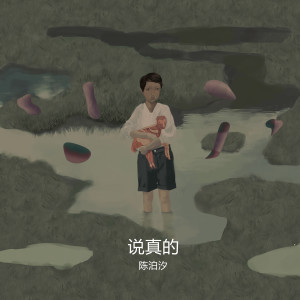 Album 说真的 from 陈泊汐